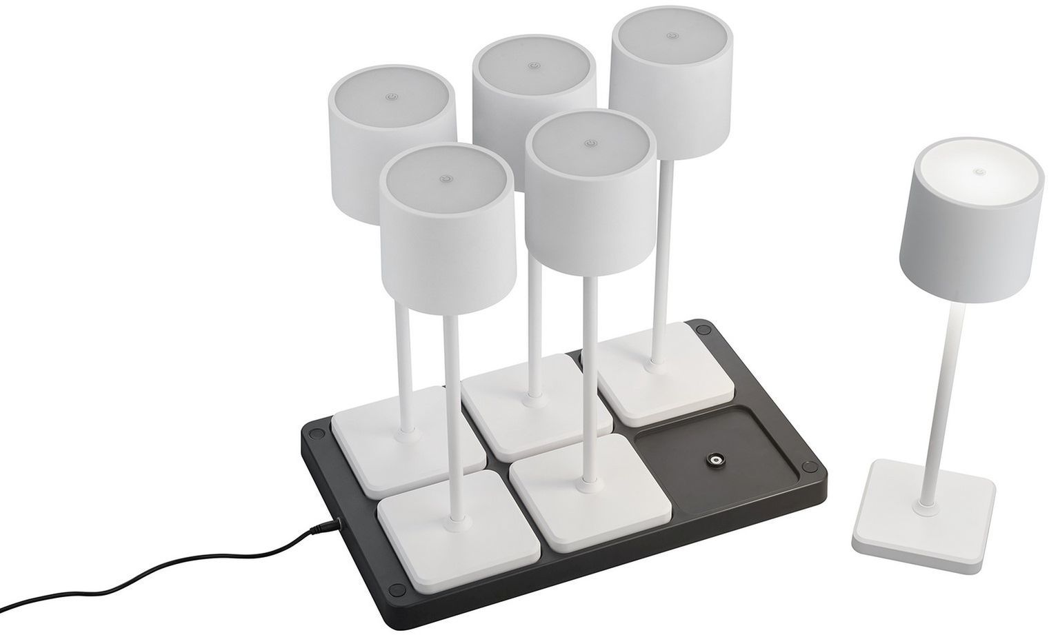FERNANDEZ-R54096631-TRIO-242921
