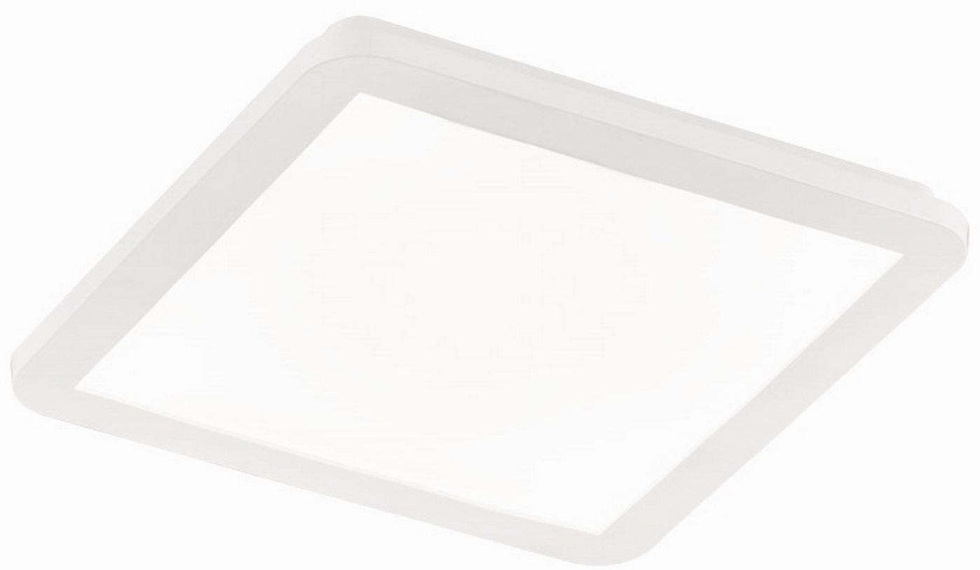 CAMILLUS-R62931801-TRIO-240890