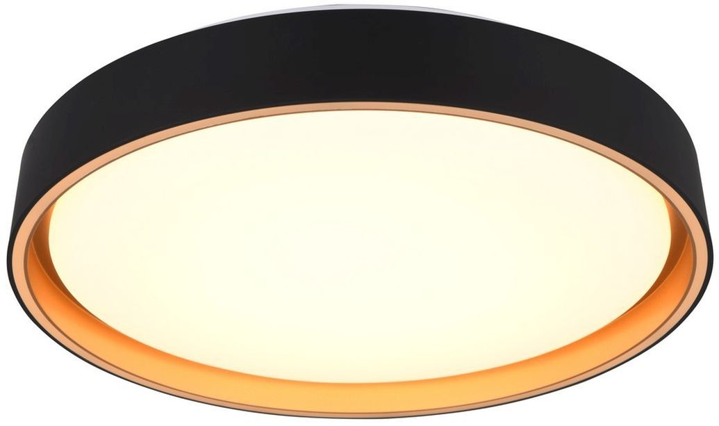 FELIS-R64391080-TRIO-242962
