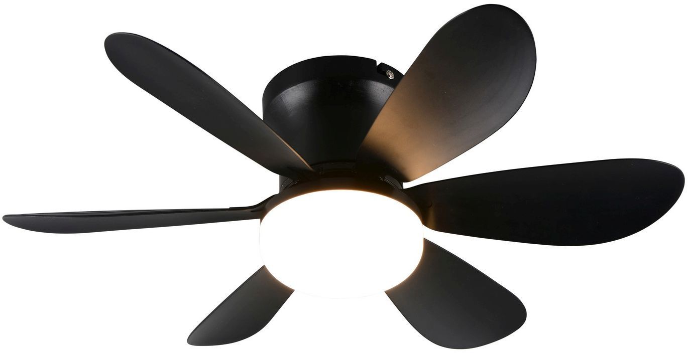 LUND-R67462132-TRIO-244011