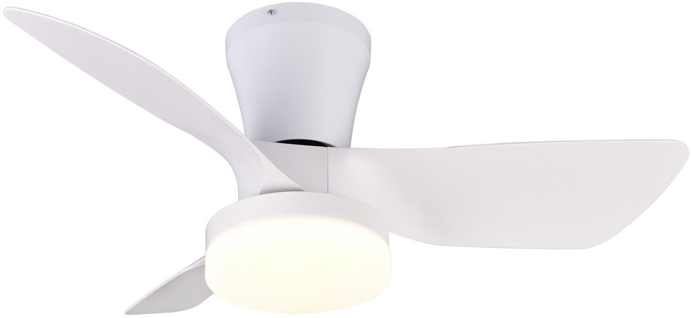 RANDERS-R64412131-TRIO-244055