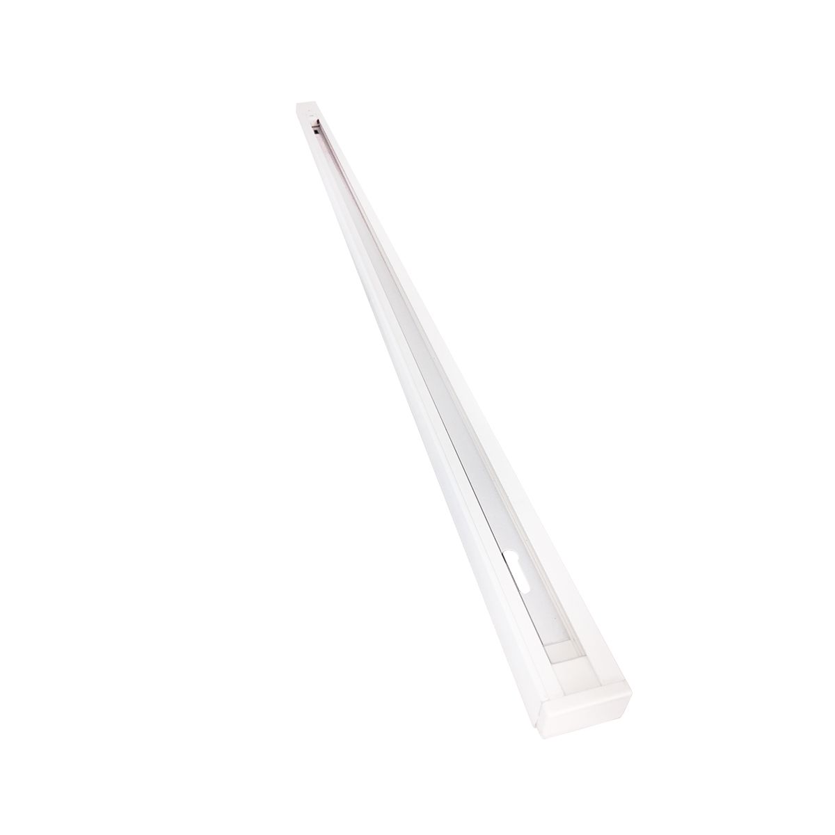 CONNECTORS-ML3917-Milagro-133404