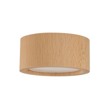 Lumină montată pe suprafață EVE 10123 1x11W/GX53 IP20 de la TK Lighting