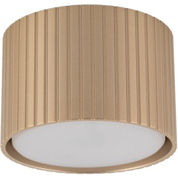 Lumină montată pe suprafață FERRO 11657 3000K 1x8W/gx53 560lm IP20 de la TK Lighting