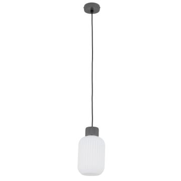 Lampă cu pendul AURORA 11969 1x25W/E27 IP20 de la Nowodvorski