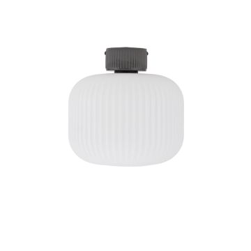 Lampă de tavan AURORA 11971 1x25W/E27 IP20 de la Nowodvorski