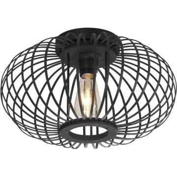 Lampă de tavan RACOON 11410-18 5x40W/E27 ip20 de la Paul Neuhaus