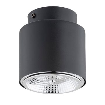 Lumină montată pe suprafață NANO 1310/1 1x15W/GU10 AR111 IP20 de la Emibig