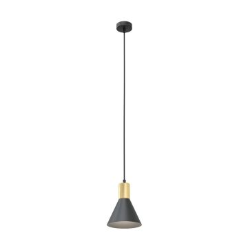 Lampă cu pendul ROSA 1388/1 1x15W/E27 IP20 de la Emibig
