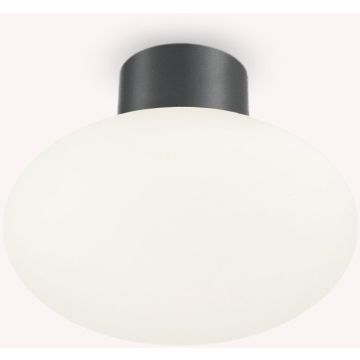 Lampă de tavan CLIO 148861 1x42W/E27 ip44 de la Ideal Lux