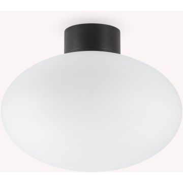 Lampă de tavan CLIO 148878 1x42W/E27 ip44 de la Ideal Lux