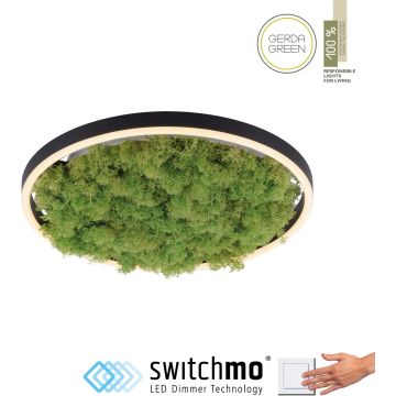 Lampă de tavan GREEN RITUS 15391-66 3000k 1x20W/LED 630lm ip20 de la Paul Neuhaus