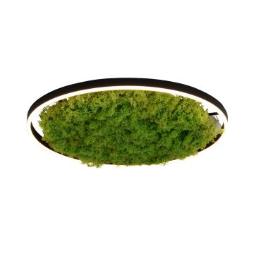 Lampă de tavan GREEN RITUS 15392-66 3000k 1x28W/LED 960lm ip20 de la Paul Neuhaus