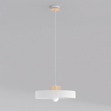 Lampă cu pendul KIVI 1669/1L 1x15W/E27 IP20 de la Emibig