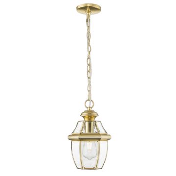 Lampă cu pendul WHITLEY P01064AU 1x60W/E27 ip23 de la Cosmolight