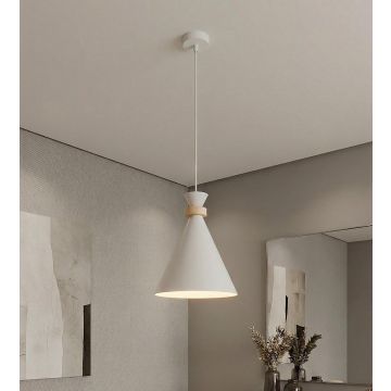 Lampă cu pendul ZERO 1679/1 1x15W/E27 IP20 de la Emibig