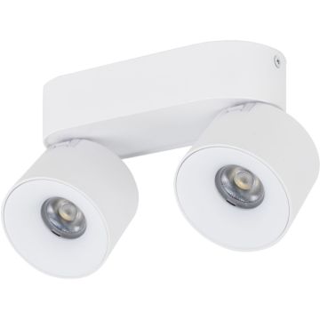 Spot SPARK 18171 3000/4000/6000 K 2x10W/LED 965lm IP20 de la TK Lighting