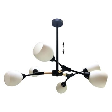Lampă de tavan CITTERIO 18300 6x40W/E14 IP20 de la Prezent