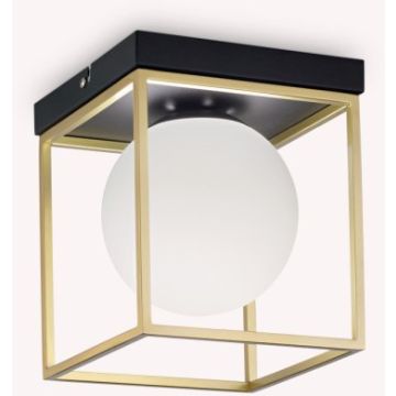 Lampă de tavan LINGOTTO 198132 1x28W/E14 ip20 de la Ideal Lux