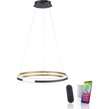 Lampă cu pendul Q-BELUGA 2051-60 2700-5000k 1x62W/LED 6900lm ip20 de la Paul Neuhaus