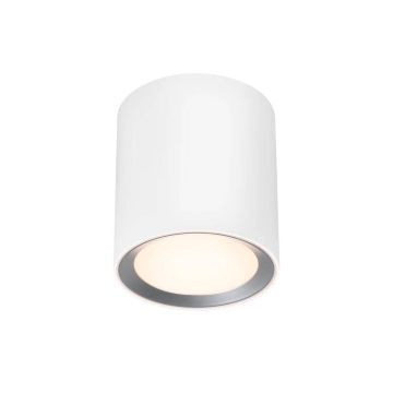 Lumină montată pe suprafață LANDON 2110670101 1x6,5W/LED IP44 de la Nordlux