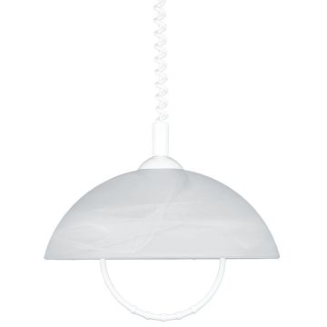 Lampă cu pendul ALBERT 23068 1x60W/E27 IP20 de la Prezent