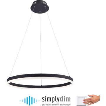 Lampă cu pendul TITUS 2382-13 1x44W/LED ip20 de la Paul Neuhaus