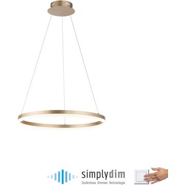 Lampă cu pendul TITUS 2382-60 3000k 1x44W/LED 5250lm ip20 de la Paul Neuhaus