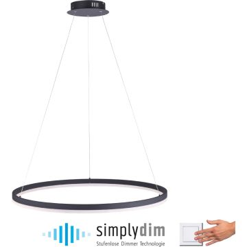 Lampă cu pendul TITUS 2383-13 1x61W/LED ip20 de la Paul Neuhaus