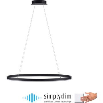 Lampă cu pendul TITUS 2392-13 3000k 1x38W/LED 1800lm ip20 de la Paul Neuhaus