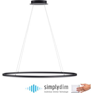 Lampă cu pendul TITUS 2393-13 3000k 1x57,5W/LED 2700lm ip20 de la Paul Neuhaus