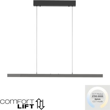 Lampă cu pendul ADRIANA COMFORT LIFT 2598-13 2700-5000k 1x13W/LED 2085lm ip20 de la Paul Neuhaus