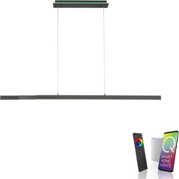Lampă cu pendul Q-ARIAN 2569-13 2700-5000k 4x55W/LED 5520lm ip20 de la Paul Neuhaus