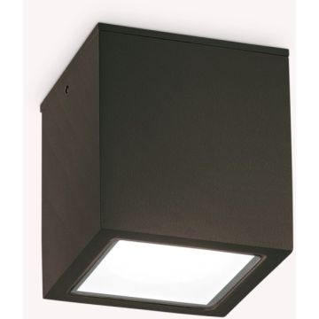 Lumină montată pe suprafață TECHO 251530 1x20W/GU10 ip54 de la Ideal Lux