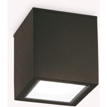Lumină montată pe suprafață TECHO 251578 1x20W/GU10 ip54 de la Ideal Lux