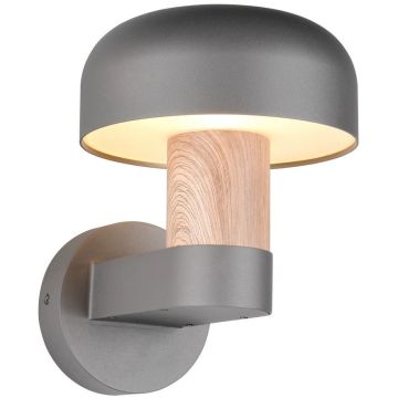 Aplique de perete FRASER 262560135 1x10w/e27 ip54 de la Trio