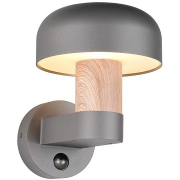 Aplique de perete FRASER 262569135 1x10w/e27 ip54 de la Trio