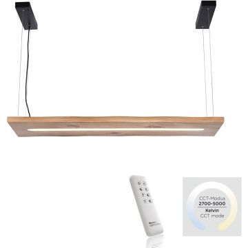 Lampă cu pendul PALMA 2625-79 2700-5000k 1x27W/LED 2750lm ip20 de la Paul Neuhaus