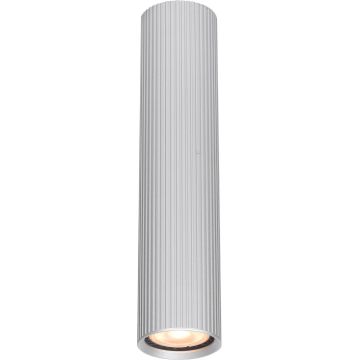 Lumină montată pe suprafață Rilok CLN-83920-L-ALU 1x10W/GU10 IP20 de la Italux