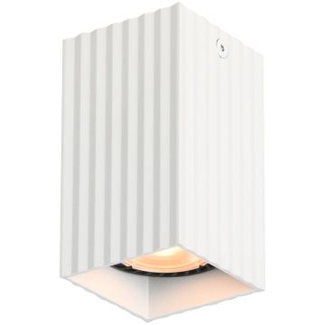 Lumină montată pe suprafață Tecno CLN-37492-S-WH 1x10W/GU10 IP20 de la Italux