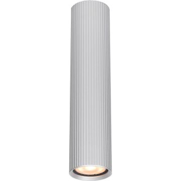 Lumină montată pe suprafață Rilok CLN-83920-M-ALU 1x10W/GU10 IP20 de la Italux