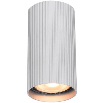 Lumină montată pe suprafață Rilok CLN-83920-S-ALU 1x10W/GU10 IP20 de la Italux