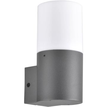 Aplique de perete DALLAS 315960 1x12W/E27 IP44 de la Polux