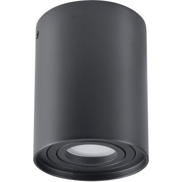 Lumină montată pe suprafață HADAR 313102 1x10W/GU10 IP20 de la Polux