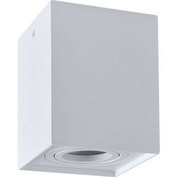 Lumină montată pe suprafață HADAR 313119 1x10W/GU10 IP20 de la Polux