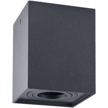 Lumină montată pe suprafață HADAR 313126 1x10W/GU10 IP20 de la Polux
