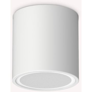 Lumină montată pe suprafață TECHO 318127 1x20W/GU10 ip54 de la Ideal Lux