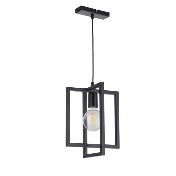 Lampă cu pendul EDEN 32231 1x60W/E27 de la Sigma Lighting