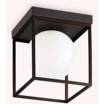 Lampă de tavan LINGOTTO 327853 1x28W/E14 ip20 de la Ideal Lux