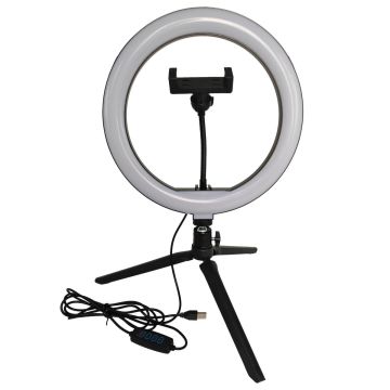 Lampă de birou SELFIE 327604 2700K-4000K-6000K 1x10W/LED 240lm IP20 de la Polux